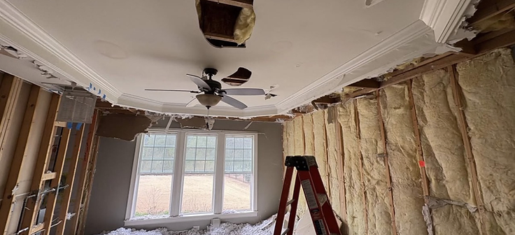 Ceiling demo and framing exposed