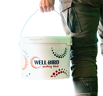 Well-Bird Pecking Block