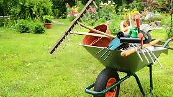 Wheelbarrow with garden tools on a green lawn