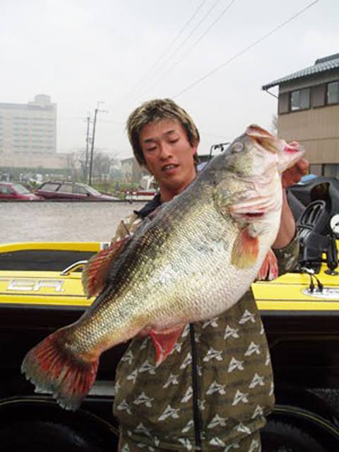 栗田学が琵琶湖で釣り上げた10.12kgの世界記録ブラックバス