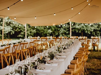Longue table de banquet garnie de verdure sous une tente stretch sable avec guirlandes