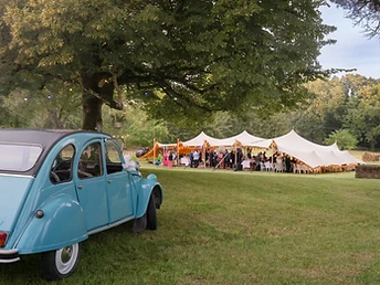 Tente stretch beige éclairée par des guirlandes sous un grand arbre avec une 2CV au premier plan
