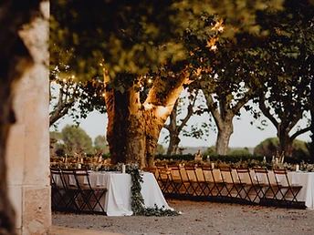 Longue table de banquet dressée sous des arbres éclairés par des guirlandes en soirée