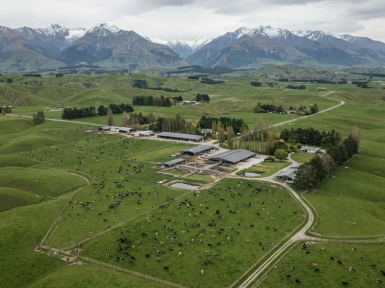 Large-scale New Zealand productive farm