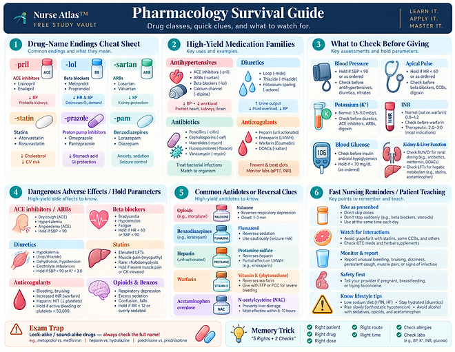 Full illustrated study sheet
