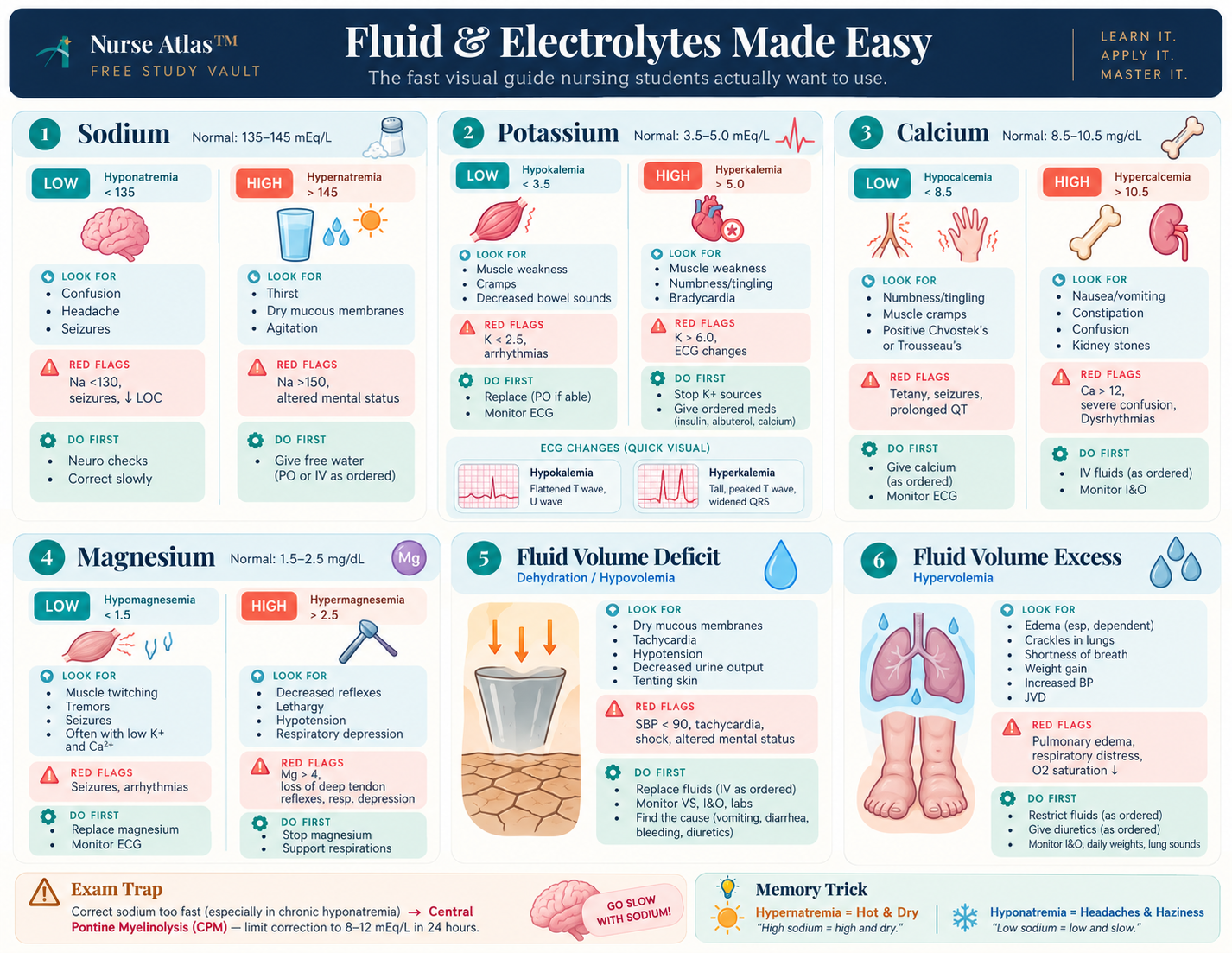 Fluid & Electrolytes Made Easy