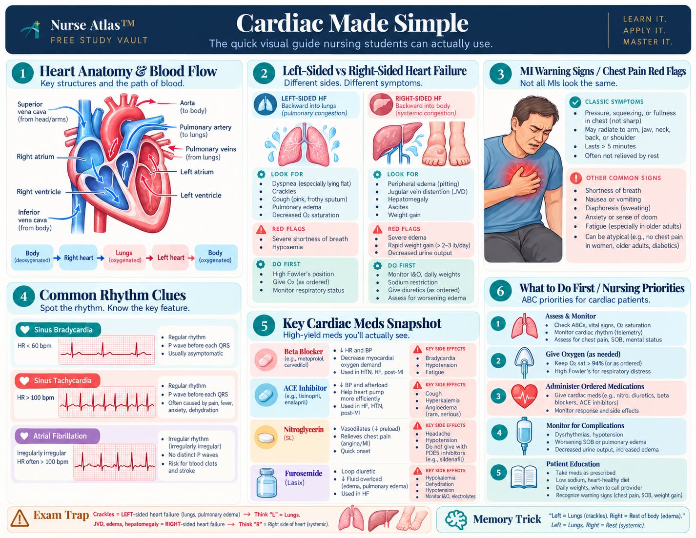 Cardiac Made Simple
