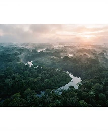 5 razões para explorar a Amazônia ao amanhecer