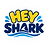 Heyshark Aquatic Academy logo