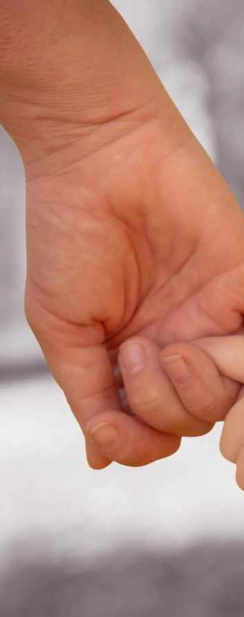 Main d'adulte tenant la main d'un enfant