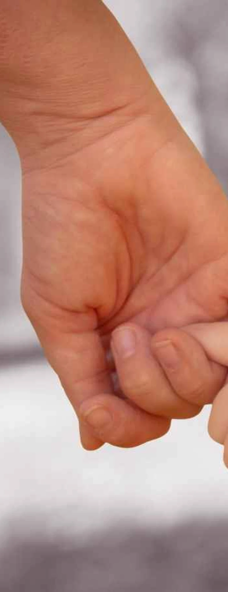 Main d'adulte tenant la main d'un enfant