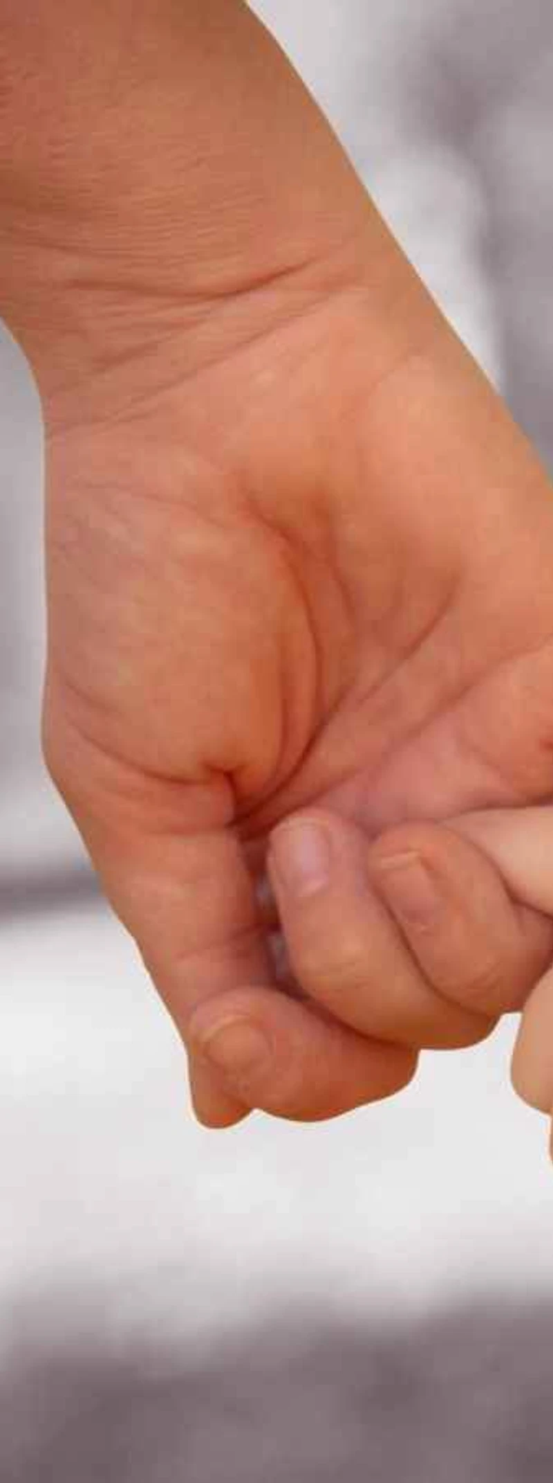 Main d'adulte tenant la main d'un enfant