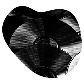 L'Affaire des CD-ROM de Zandvoort — le grand procès qui n'a jamais eu lieu