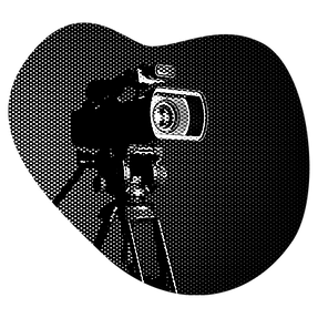 Affaire « Welcome to Video »