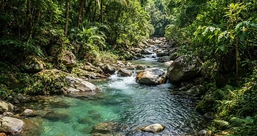Suoi Mo Stream & Waterfall Day by Bus T1