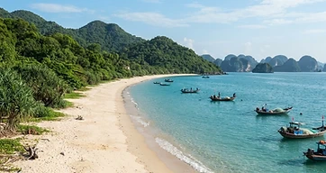 Bai Dai Van Don: The 10-Km Wild Beach by Bus