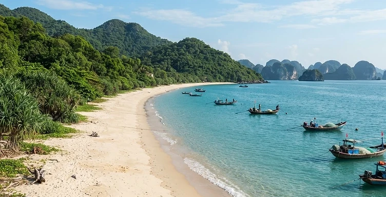 Bai Dai Van Don: The 10-Km Wild Beach by Bus