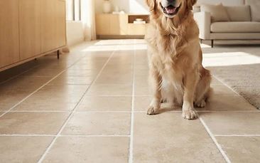 Pet Stains on Tile and Grout: What Actually Works in Orange County Homes