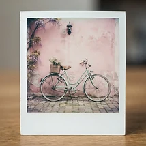 Polaroid