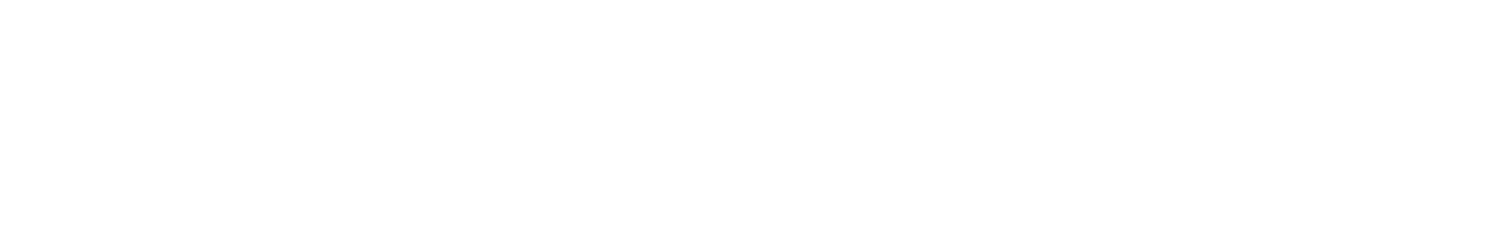 BlueRobin Group