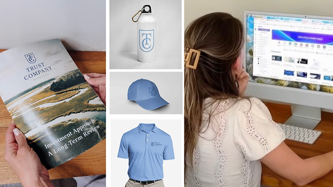 Trust Company of the South brand identity materials and website design