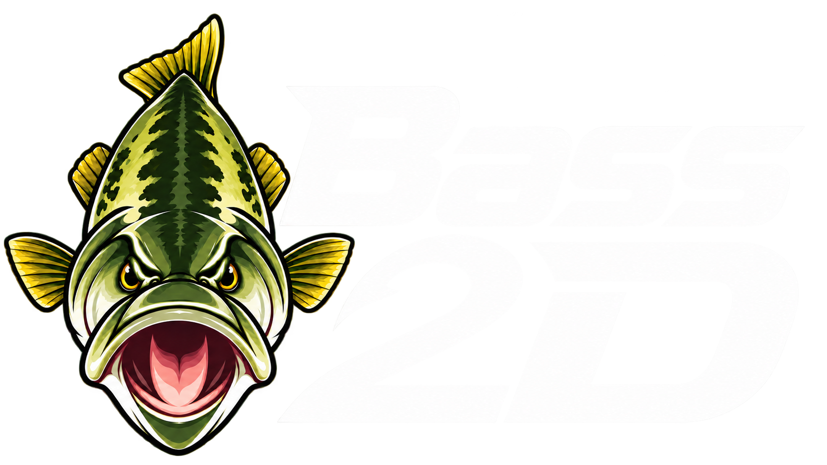 Bass 2D