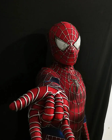 Fanriot suit and mask gallery