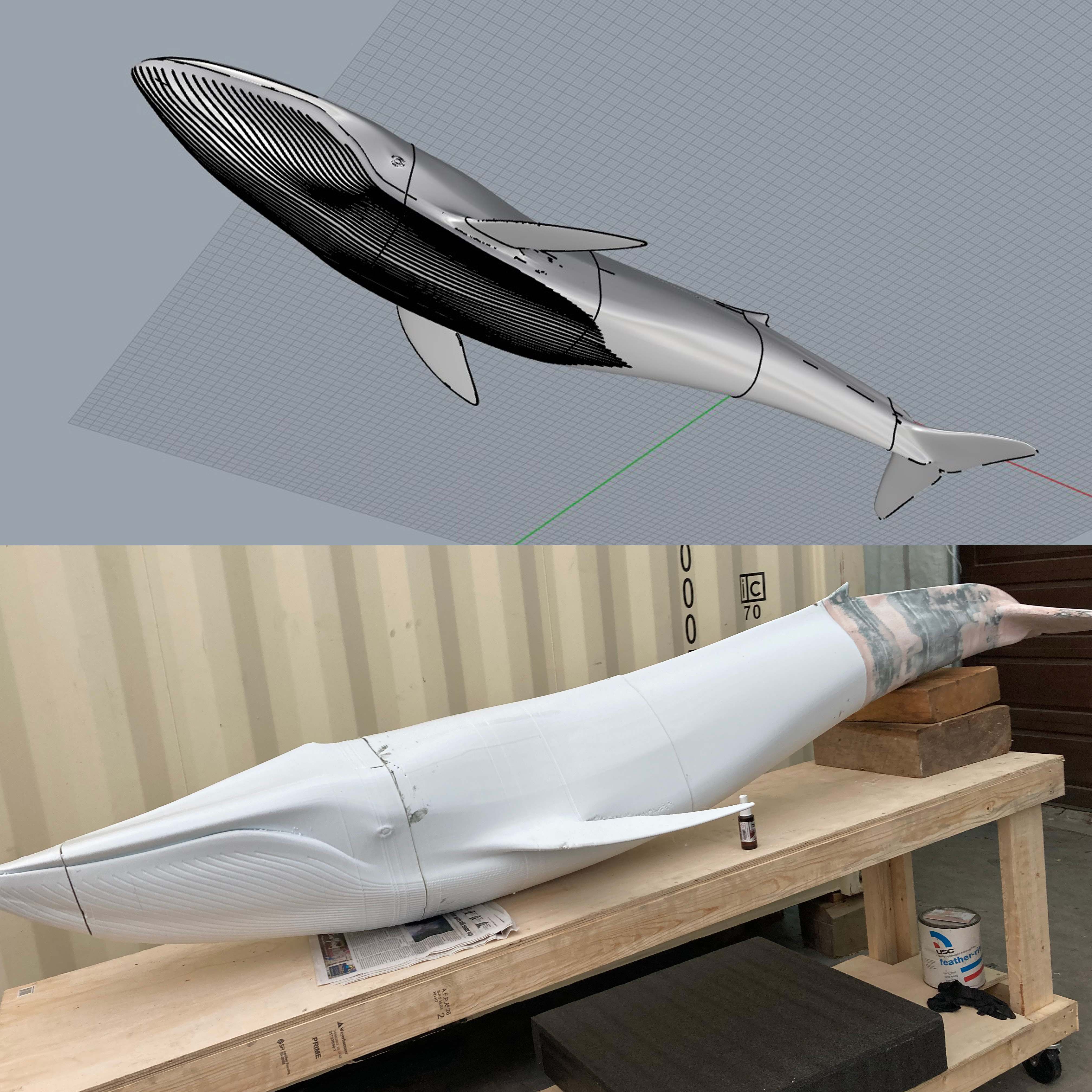 10' Blue Whale — Digital & Fabrication