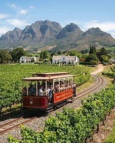 Franschhoek Wine Tram