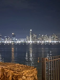 The skyline from Casco Viejo