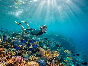 Belize Barrier Reef Snorkeling