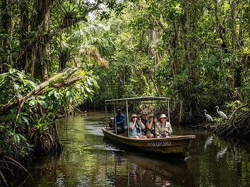 Monkey River & Manatee Watching