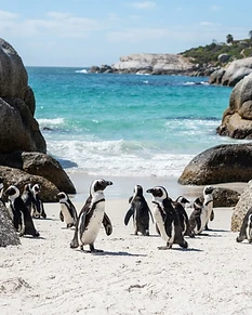 Chapman's Peak
