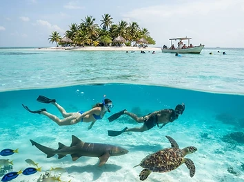 Silk Cayes & Shark-Ray Alley