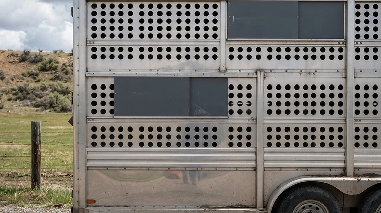 Adjustable ventilation slats and winter panels on a livestock trailer