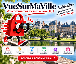 VueSurMaVille — Découvrir Fontainebleau