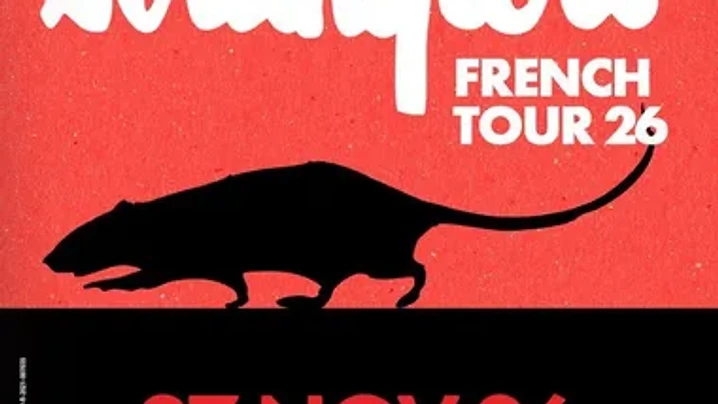 The Stranglers en concert