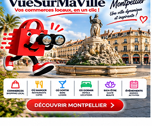 VueSurMaVille — Découvrir Montpellier