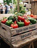 Bell Peppers
