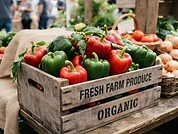 Bell Peppers