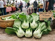 Fresh Bok Choy