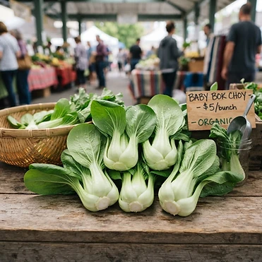 Fresh Bok Choy