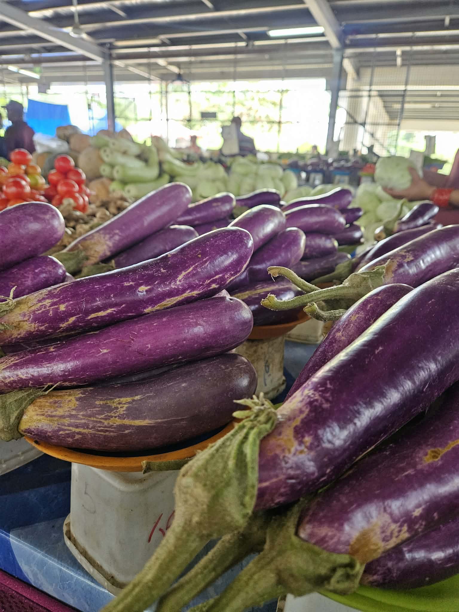 Eggplants & tomatoes