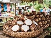 Fresh Taro (Dalo)
