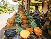 Sweet Ripe Pineapples