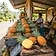 Sweet Ripe Pineapples