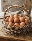 Free-Range Eggs