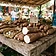 Cassava (Tavioka)