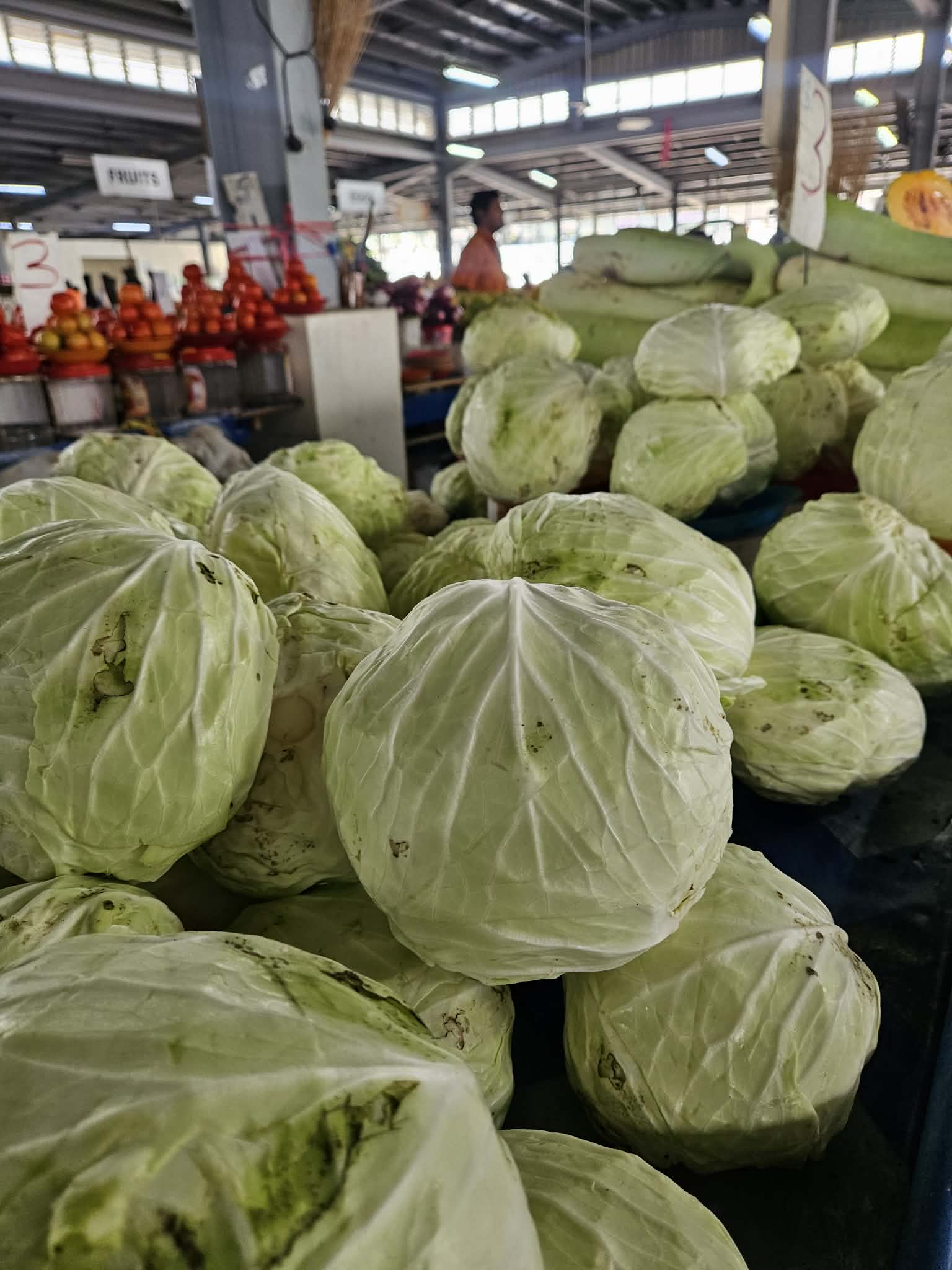 Fresh cabbages