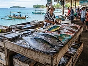 Fresh Yellowfin Tuna